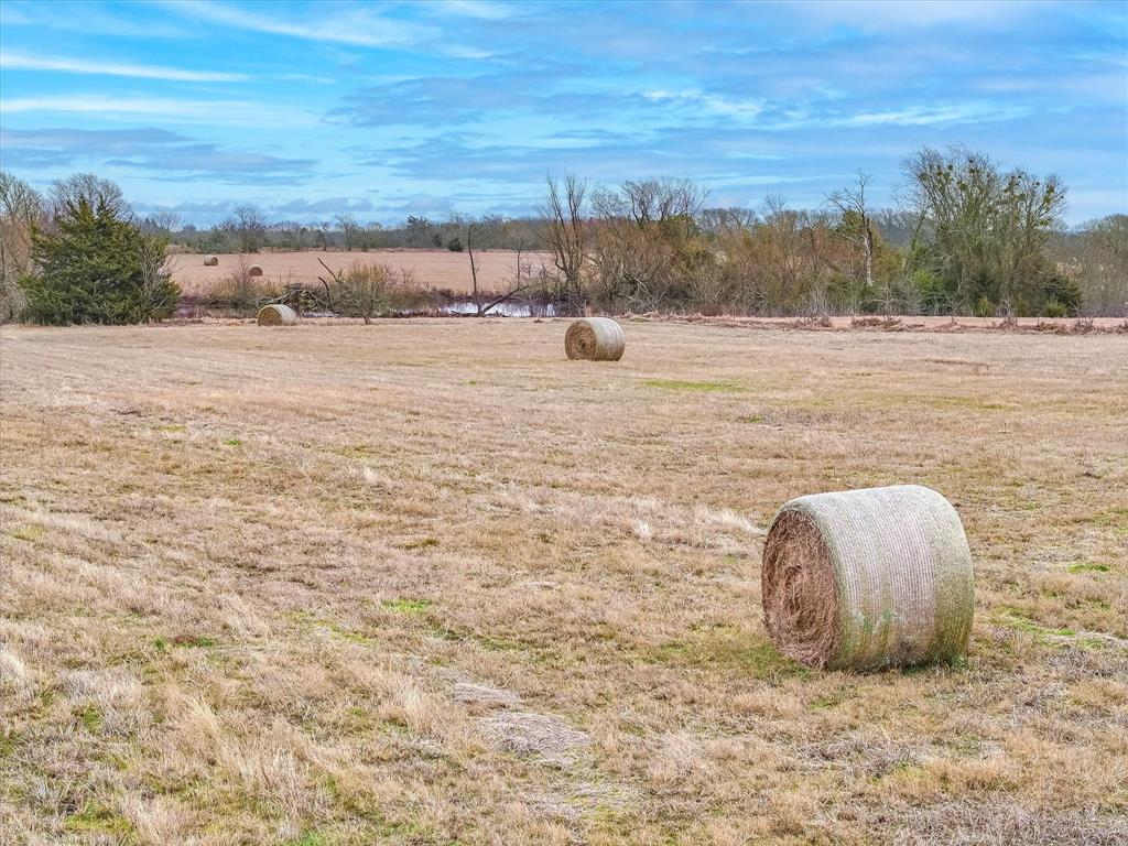3 Fm Road Mabank, TX 75147 - Photo 8 of 10 a view of lake view and mountain view
