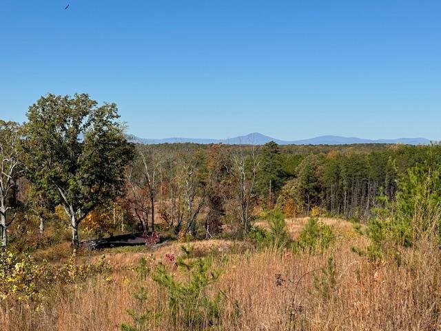 7 Oak Rdg Road Appomattox, VA 24522 - Photo 13 of 25 Gallery Image 13