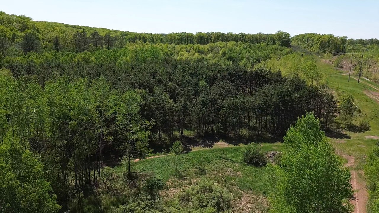 349 X 5th Avenue Shell Lake, WI 54871 - Photo 11 of 37