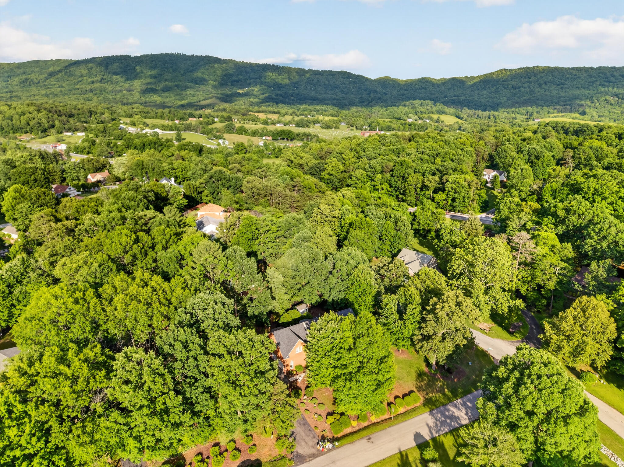 24 Queen Regent Court Blue Ridge, VA 24064 - Photo 74 of 76 DJI_20260527182948_0117_D
