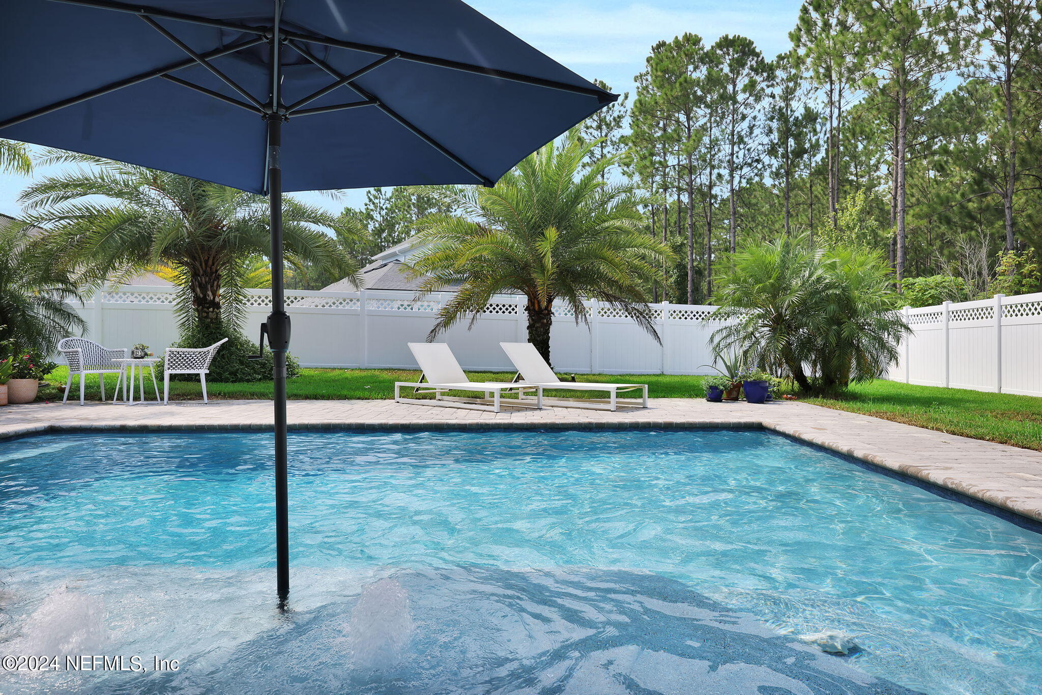192 Silver Pine Drive St. Augustine, FL 32092 - Photo 31 of 49 close up pool
