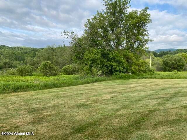 788 Breese Hollow Road Hoosick, NY 12089 - Photo 48 of 65 20230613234643197305000000-o