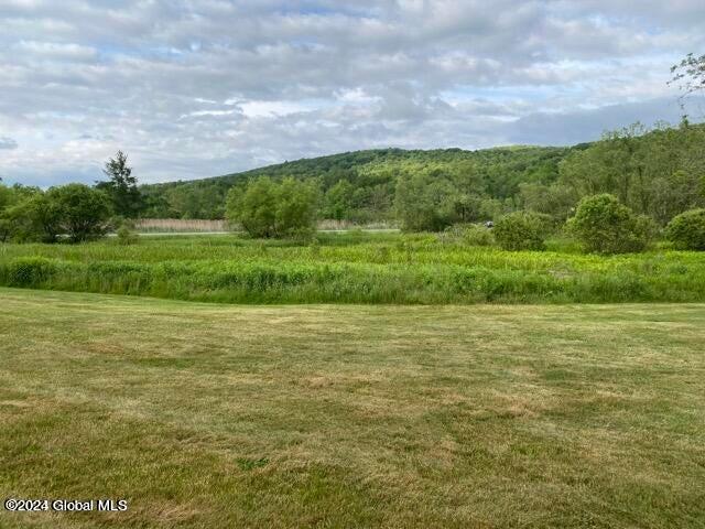 788 Breese Hollow Road Hoosick, NY 12089 - Photo 49 of 65 20230613234642067547000000-o