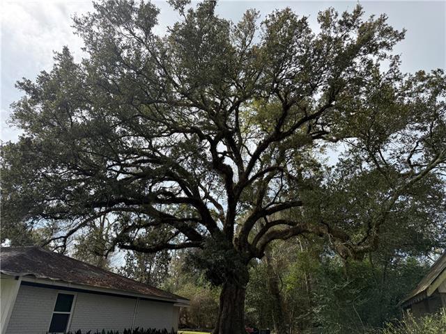 307 West 10th Avenue Covington, LA 70433 - Photo 5 of 35