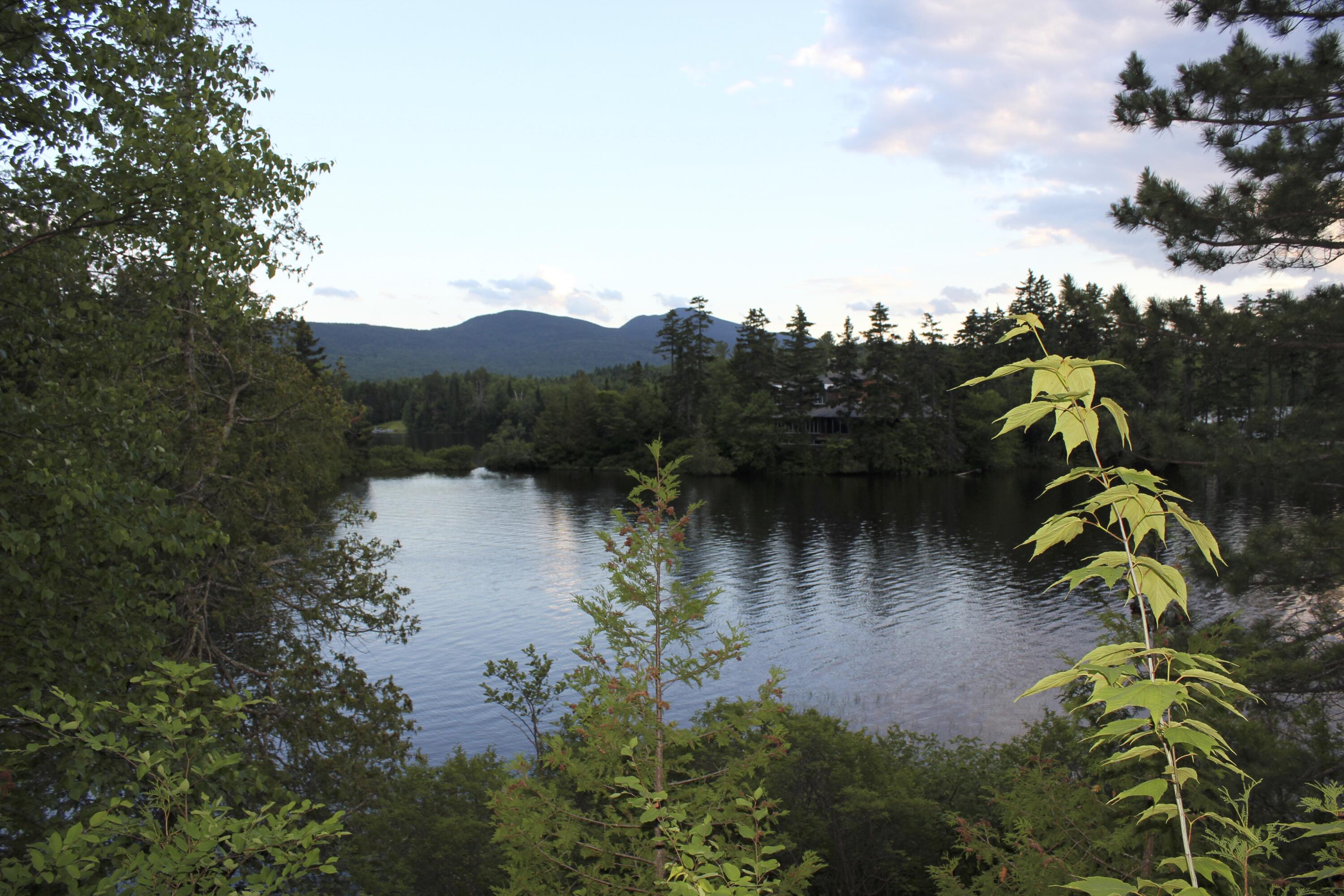 14 Innisfree Road Jackman, ME 04945 - Photo 103 of 151 IMG_4187 (1)