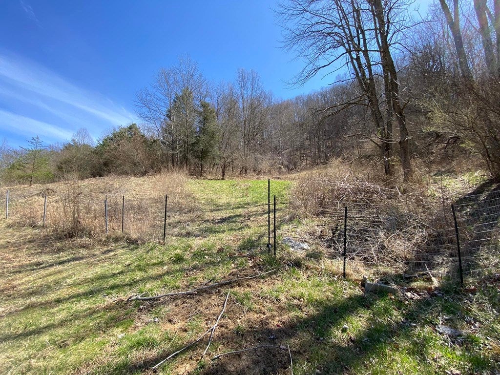 3550 Daw Road Cedar Bluff, VA 24609 - Photo 10 of 41 Gallery Image 10
