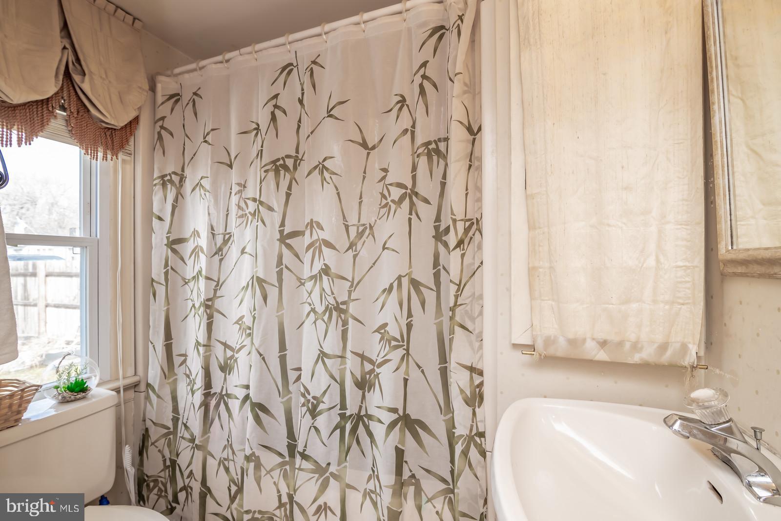 71 Chatham Heights Road Fredericksburg, VA 22405 - Photo 19 of 25 a bathroom with a sink and a bathtub