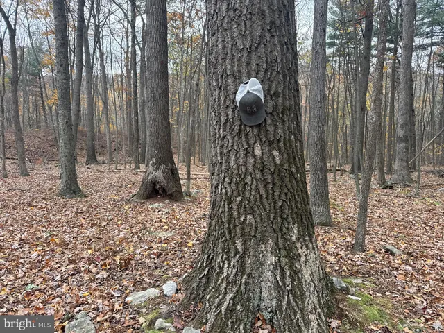 $69,000 | 3 13.5 /- Acres Coles Valley Road, Robertsdale, PA 16674