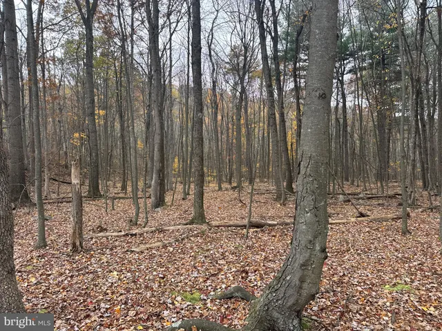 $69,000 | 3 13.5 /- Acres Coles Valley Road, Robertsdale, PA 16674