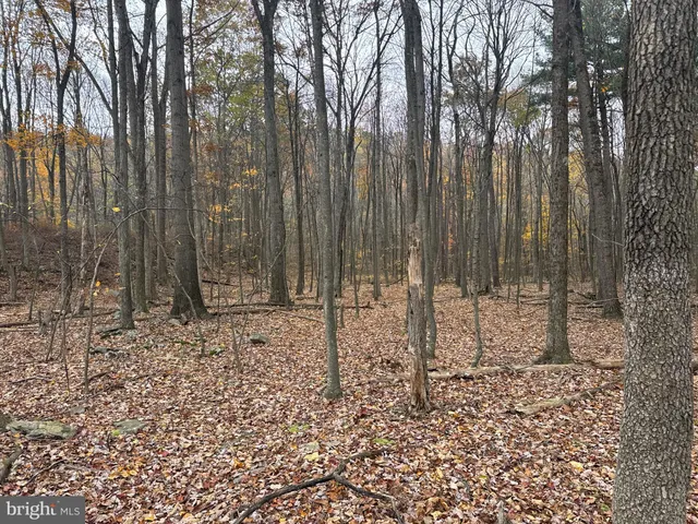 $69,000 | 3 13.5 /- Acres Coles Valley Road, Robertsdale, PA 16674