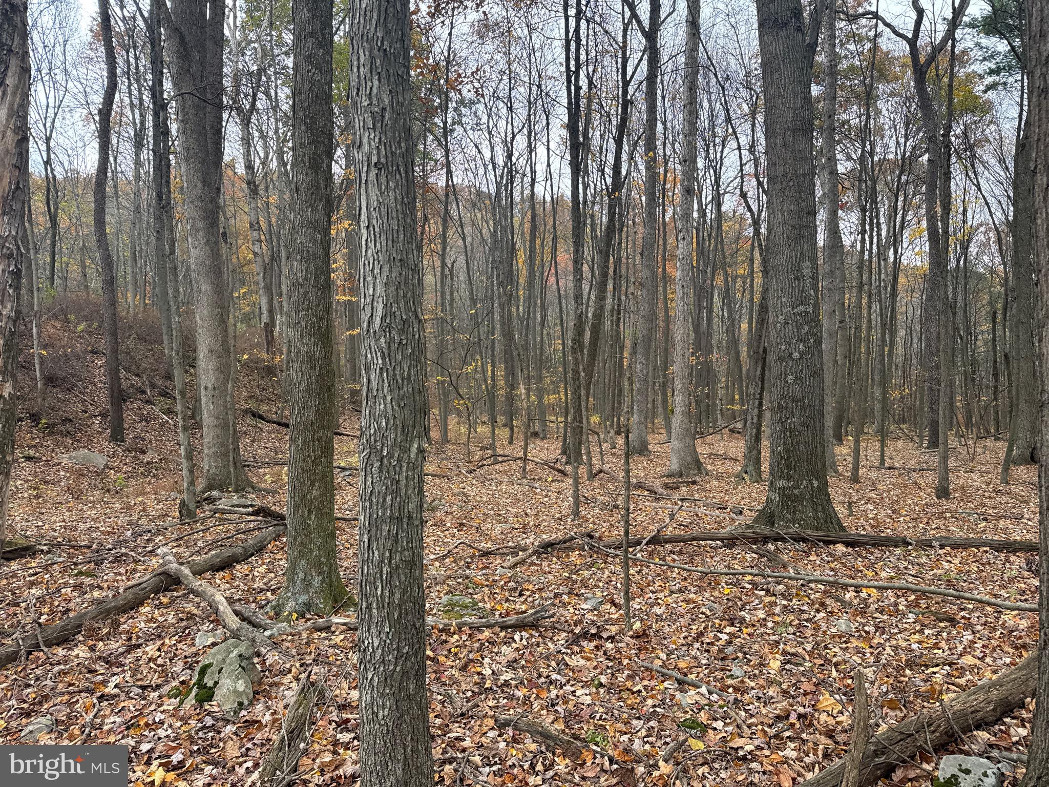 3 13.5 /- Acres Coles Valley Road Robertsdale, PA 16674 - Photo 14 of 17