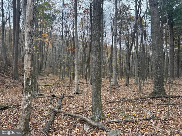 $81,512 | 3 13.5 /- Acres Coles Valley Road, Robertsdale, PA 16674