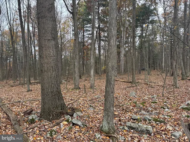 $69,000 | 3 13.5 /- Acres Coles Valley Road, Robertsdale, PA 16674