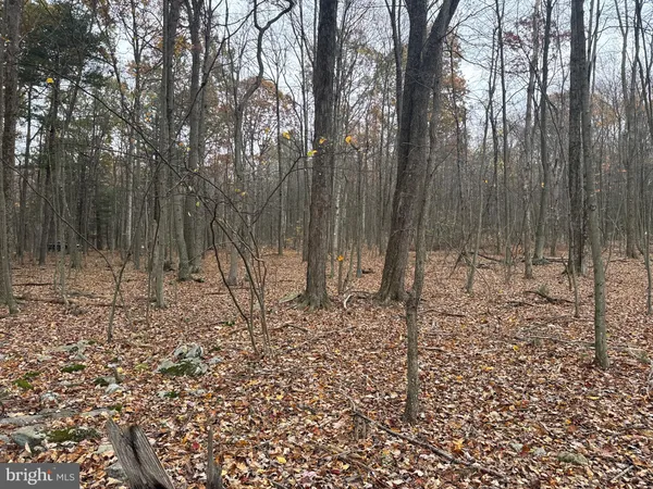 $81,512 | 3 13.5 /- Acres Coles Valley Road, Robertsdale, PA 16674