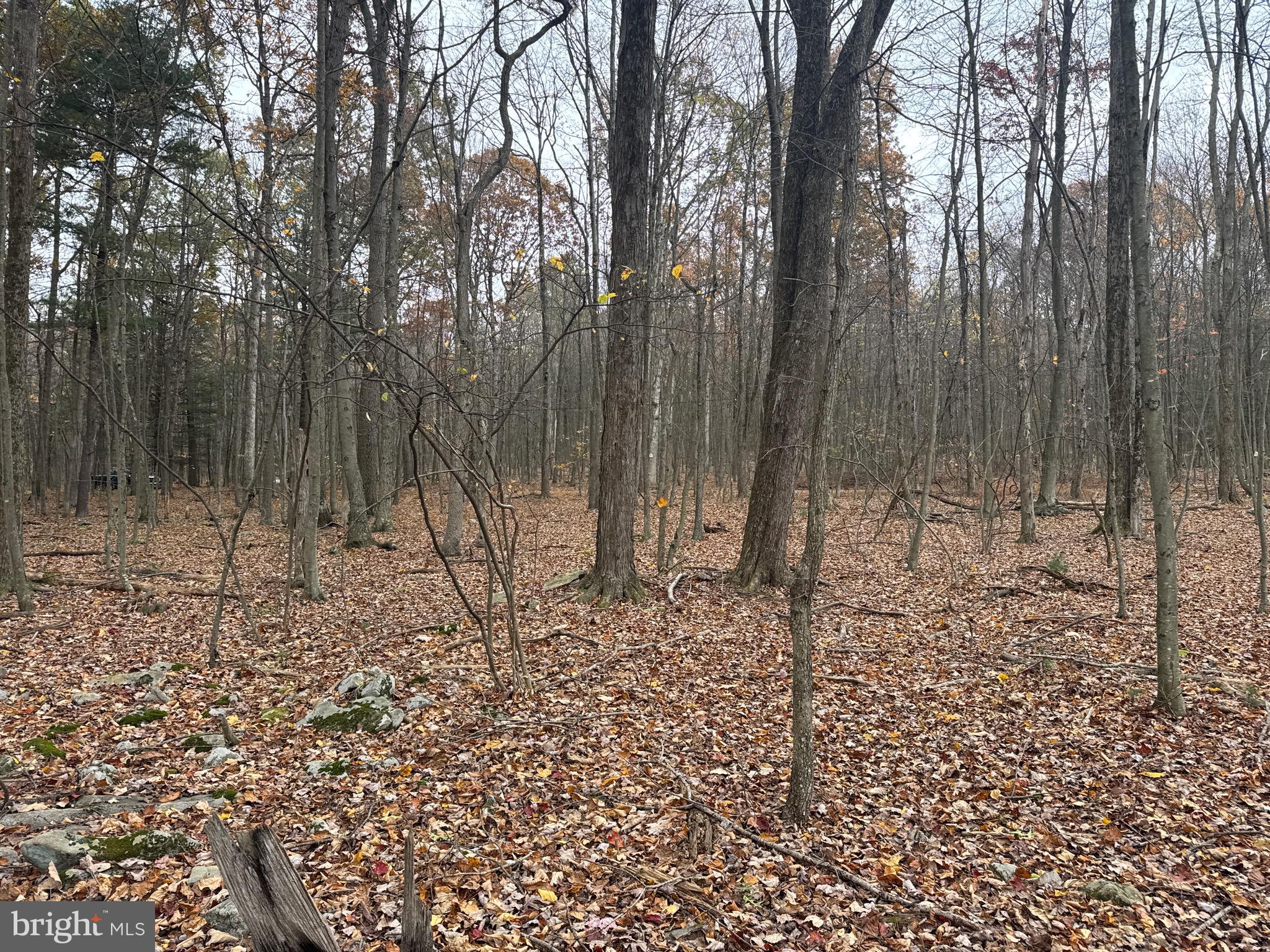 3 13.5 /- Acres Coles Valley Road Robertsdale, PA 16674 - Photo 17 of 17