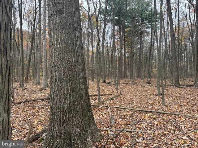 $69,000 | 3 13.5 /- Acres Coles Valley Road, Robertsdale, PA 16674