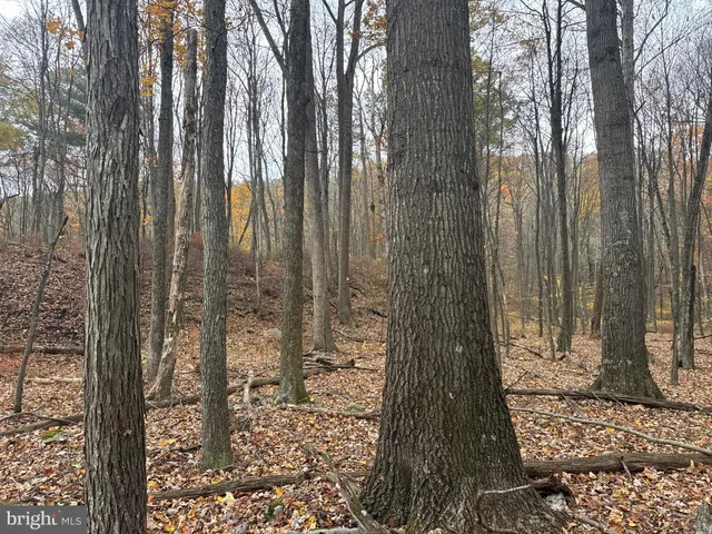 $69,000 | 3 13.5 /- Acres Coles Valley Road, Robertsdale, PA 16674