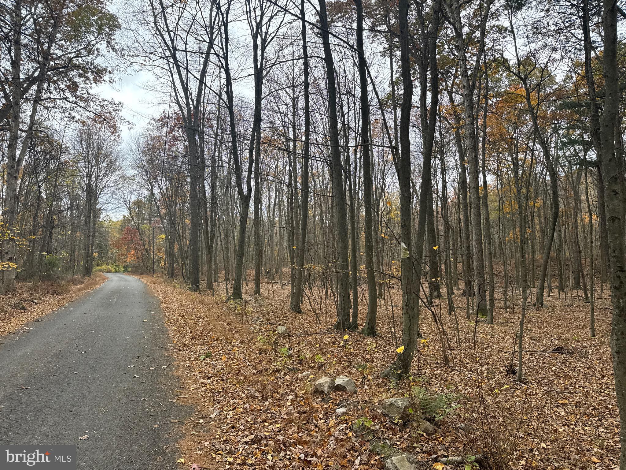 3 13.5 /- Acres Coles Valley Road Robertsdale, PA 16674 - Photo 6 of 17