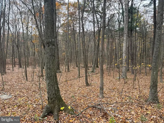$69,000 | 3 13.5 /- Acres Coles Valley Road, Robertsdale, PA 16674