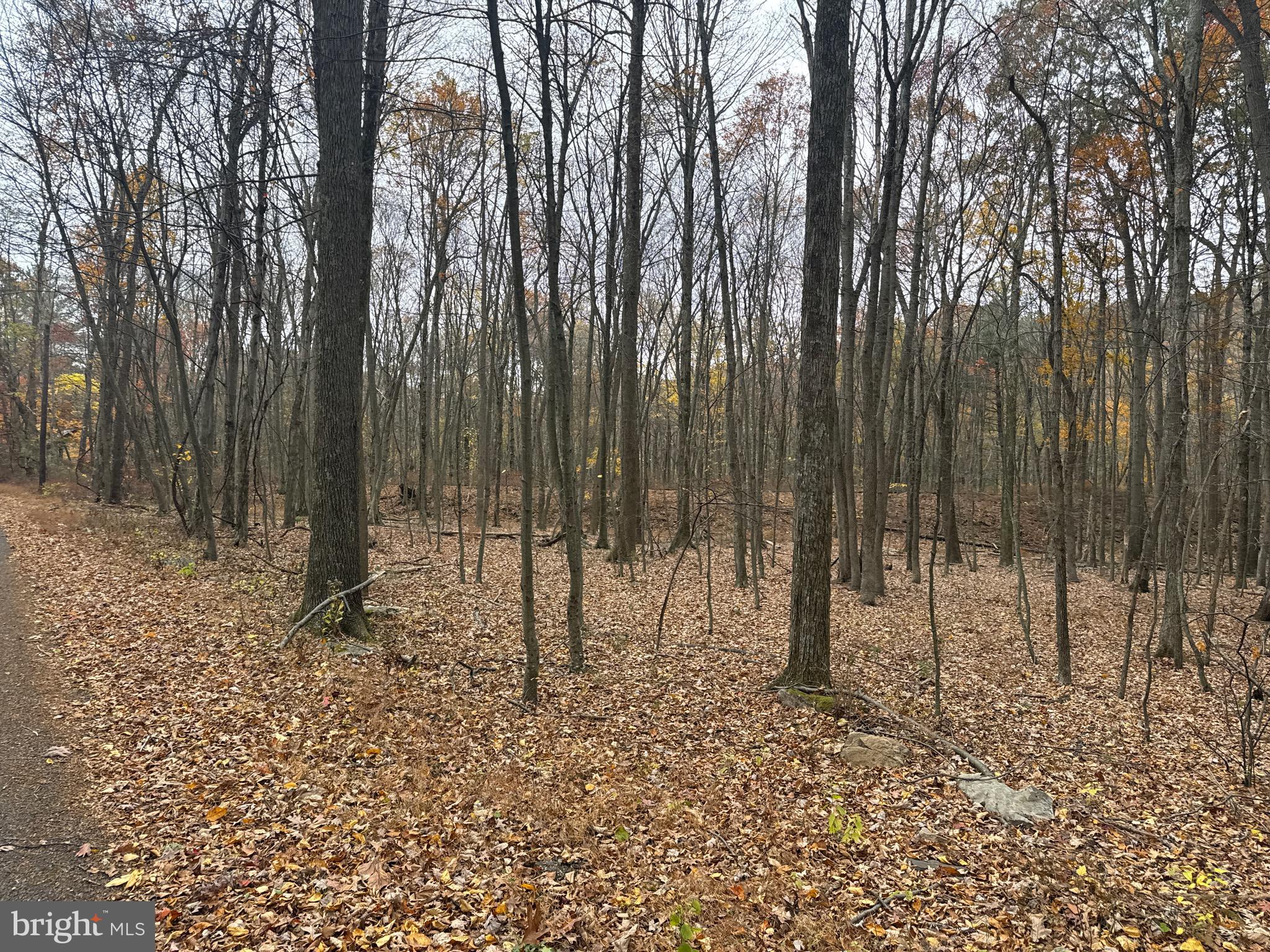 3 13.5 /- Acres Coles Valley Road Robertsdale, PA 16674 - Photo 8 of 17