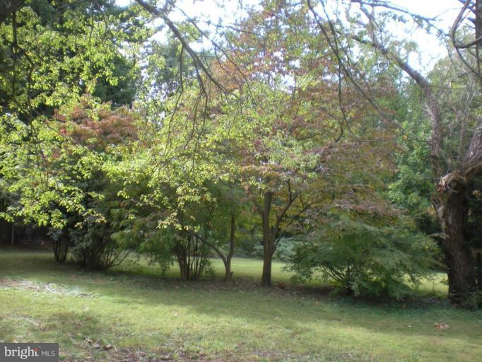 88 Ritters Lane Owings Mills, MD 21117 - Photo 4 of 4 Back yard