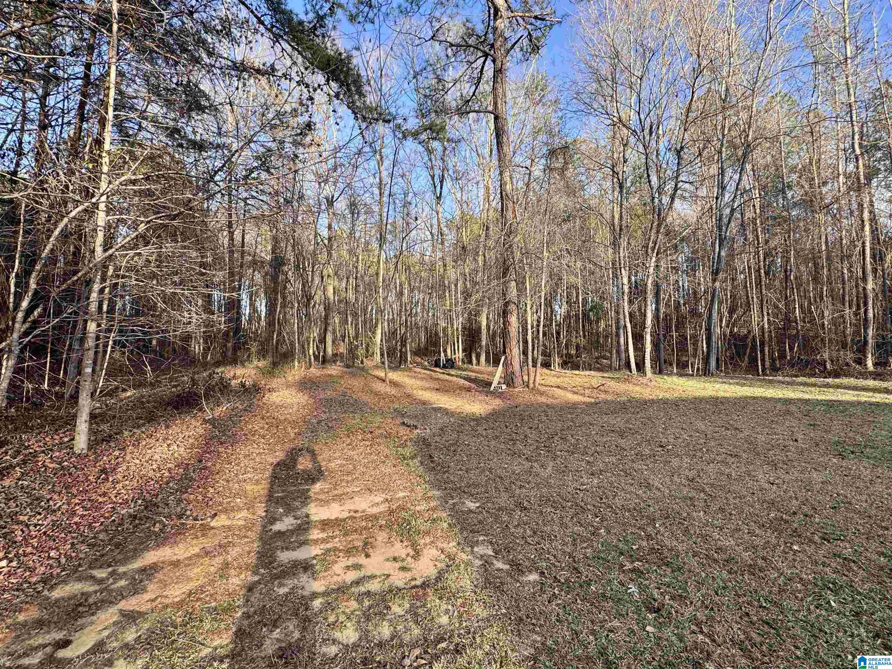 11994 Hagler Coaling Road Cottondale, AL 35453 - Photo 9 of 35