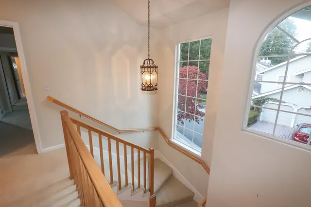 a bedroom with a bed and a potted plant