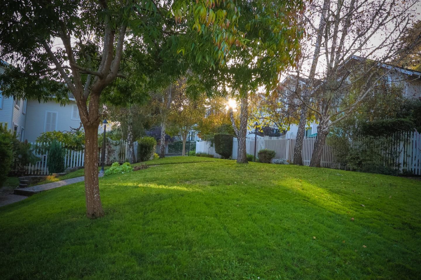 3372 Aptos Rancho Road Aptos, CA 95003 - Photo 36 of 40 a backyard of a house with plants and large tree