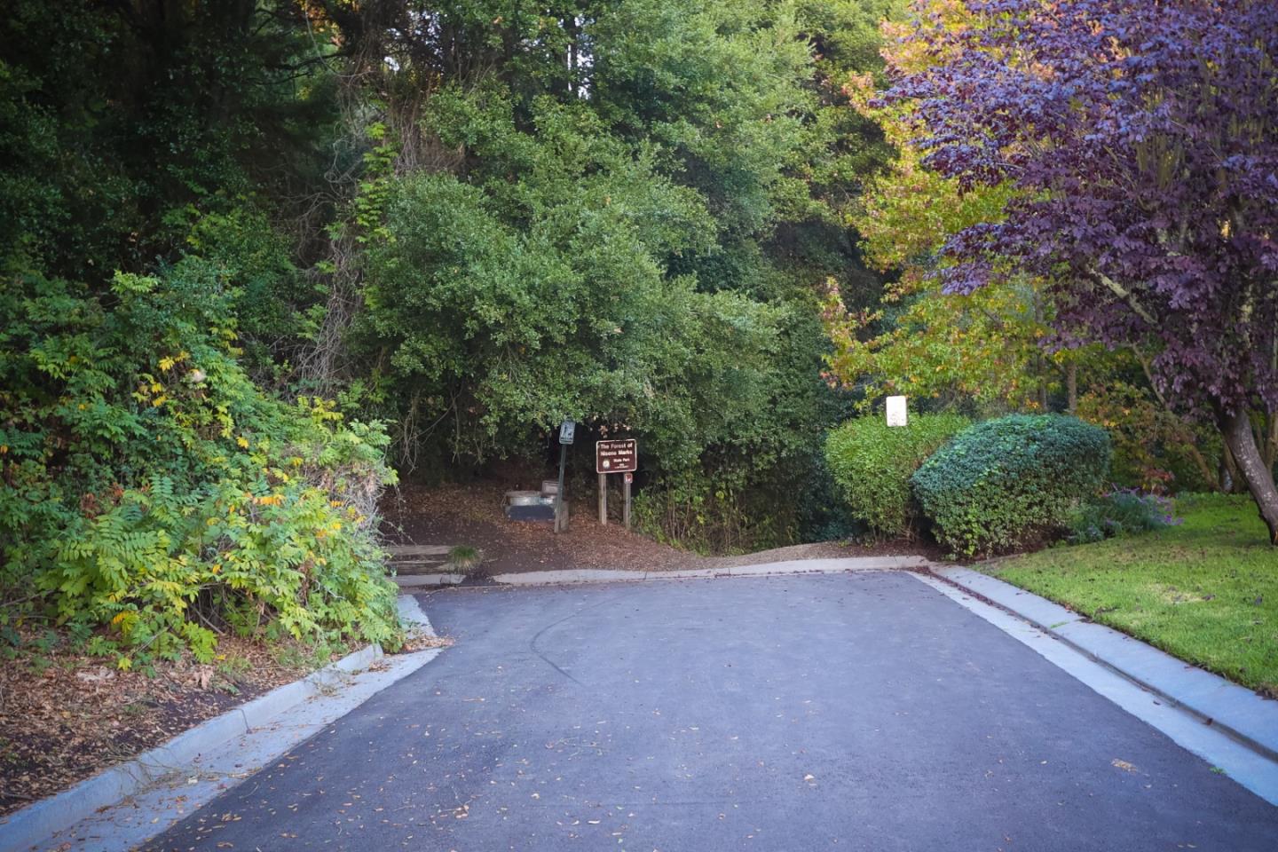 3372 Aptos Rancho Road Aptos, CA 95003 - Photo 38 of 40 a view of a yard with plants and trees