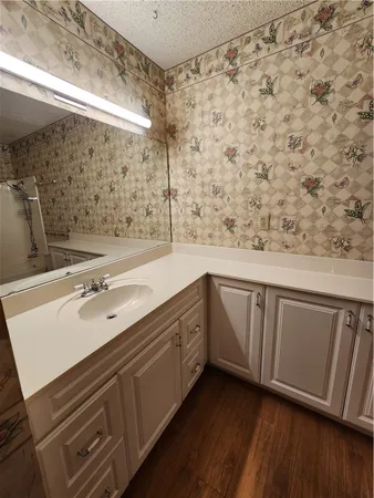 a bathroom with a sink and a mirror