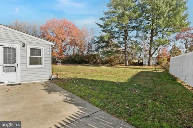 a view of a backyard with large trees