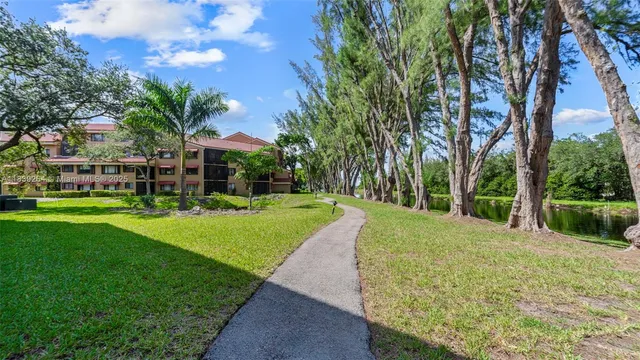 a view of a garden with palm trees