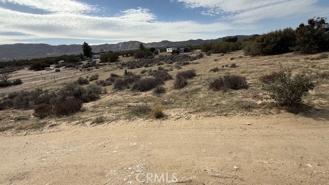 a view of a dry yard with mountains in the background
