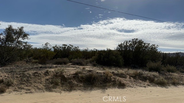 0 Harma Place Anza, CA 92539 - Photo 3 of 4 a view of a yard