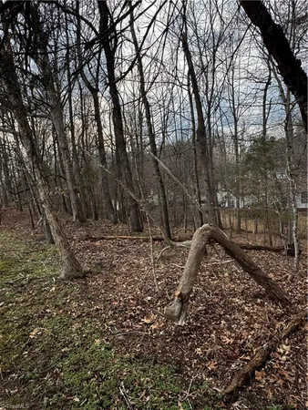 $38,000 | 2703 Camillia Cove, High Point, NC 27265