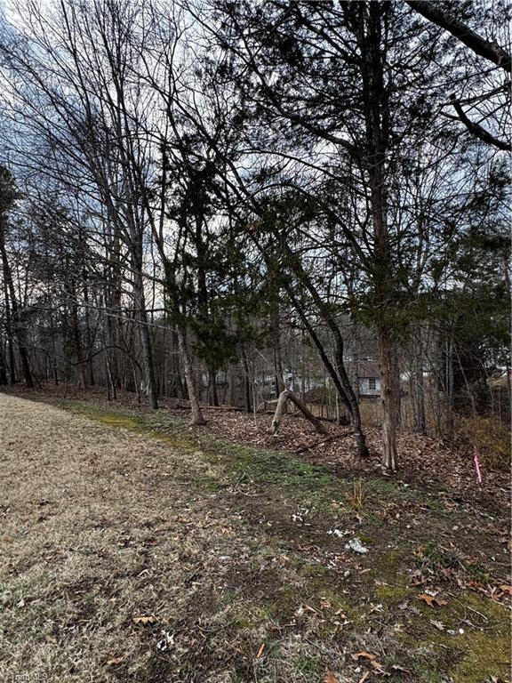 2703 Camillia Cove High Point, NC 27265 - Photo 3 of 3