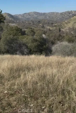 $59,900 | 0 Chuckwagon Road, Squaw Valley, CA 93675