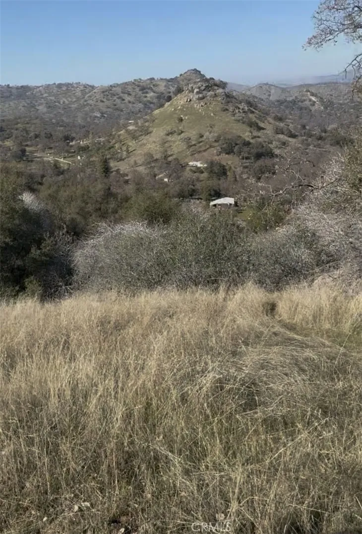 0 Chuckwagon Road Squaw Valley, CA 93675 - Photo 2 of 3