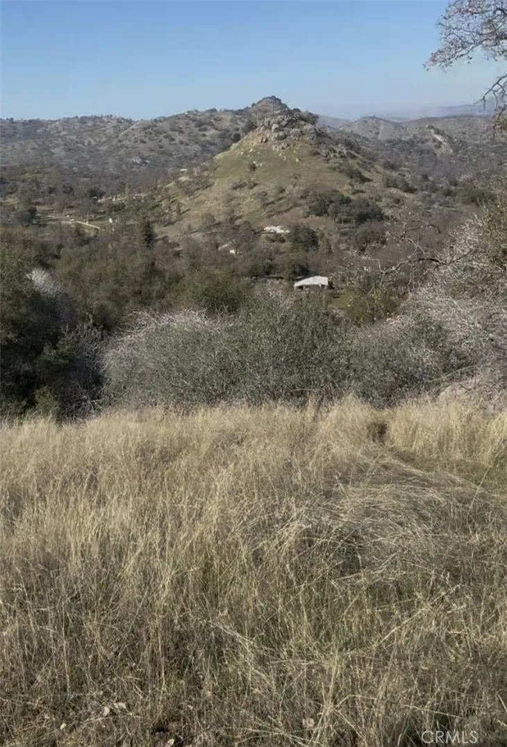 0 Chuckwagon Road Squaw Valley, CA 93675 - Photo 2 of 3