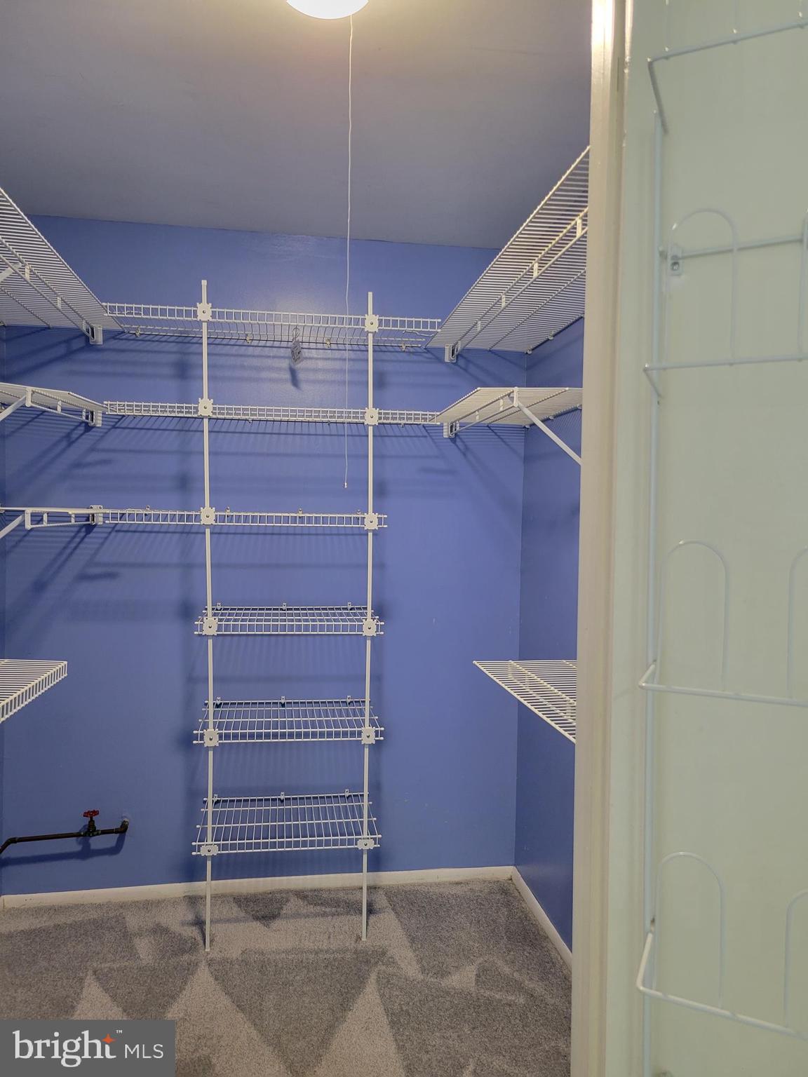 25 South Church Road, Unit 111 Maple Shade, NJ 08052 - Photo 15 of 18 Primary Bdrm Walk-in Closet with shelving system