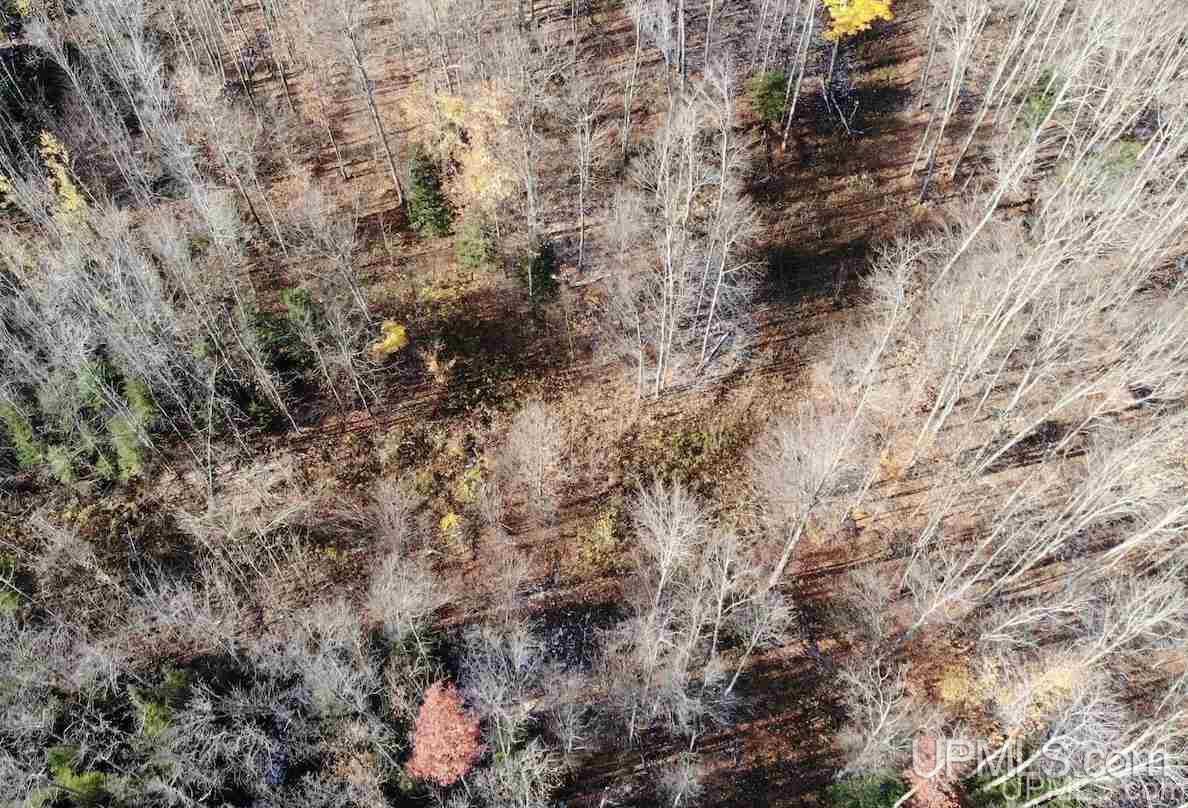 Tbd Townline Road Lanse, MI 49946 - Photo 10 of 22 Gallery Image 10