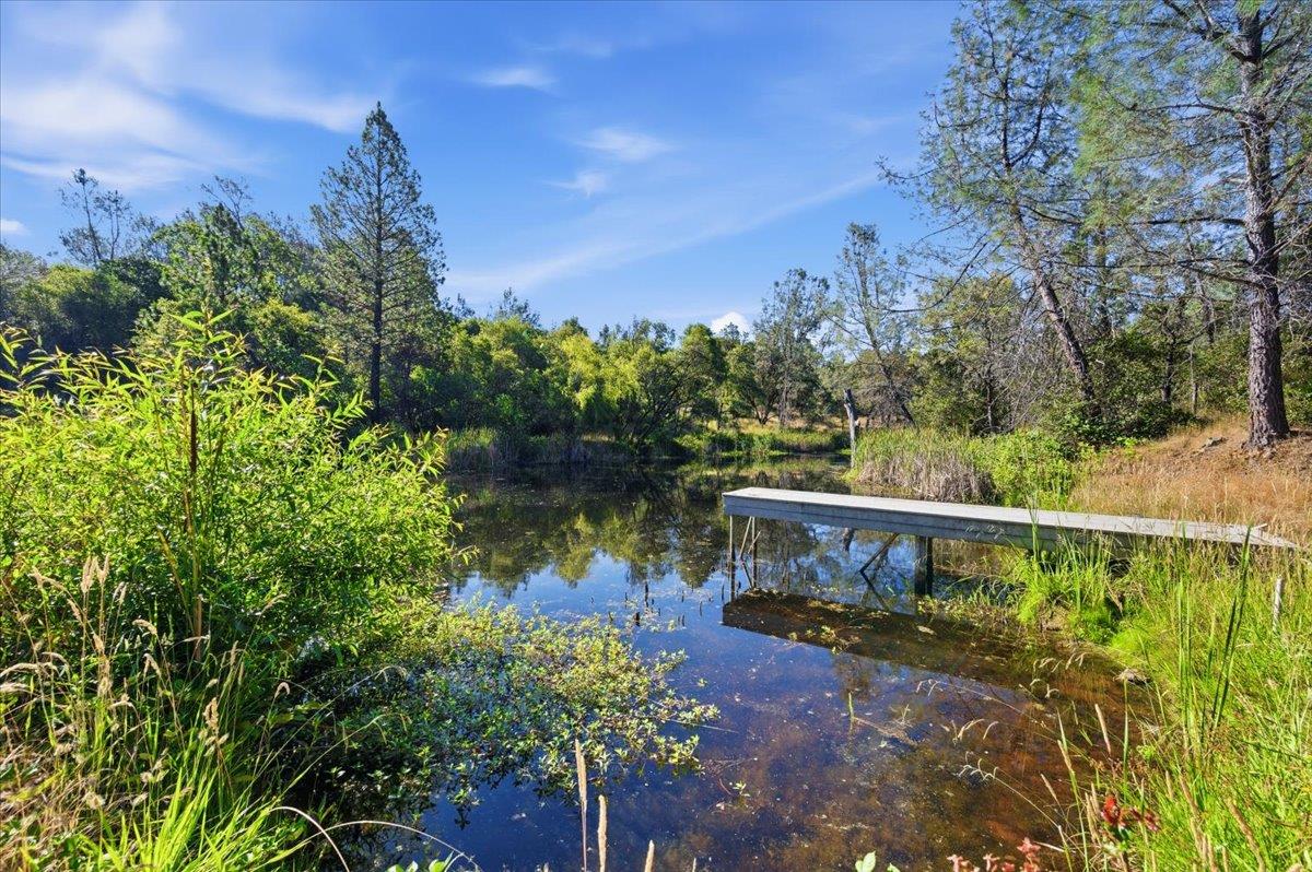 22233 McCourtney Road Grass Valley, CA 95949 - Photo 44 of 89