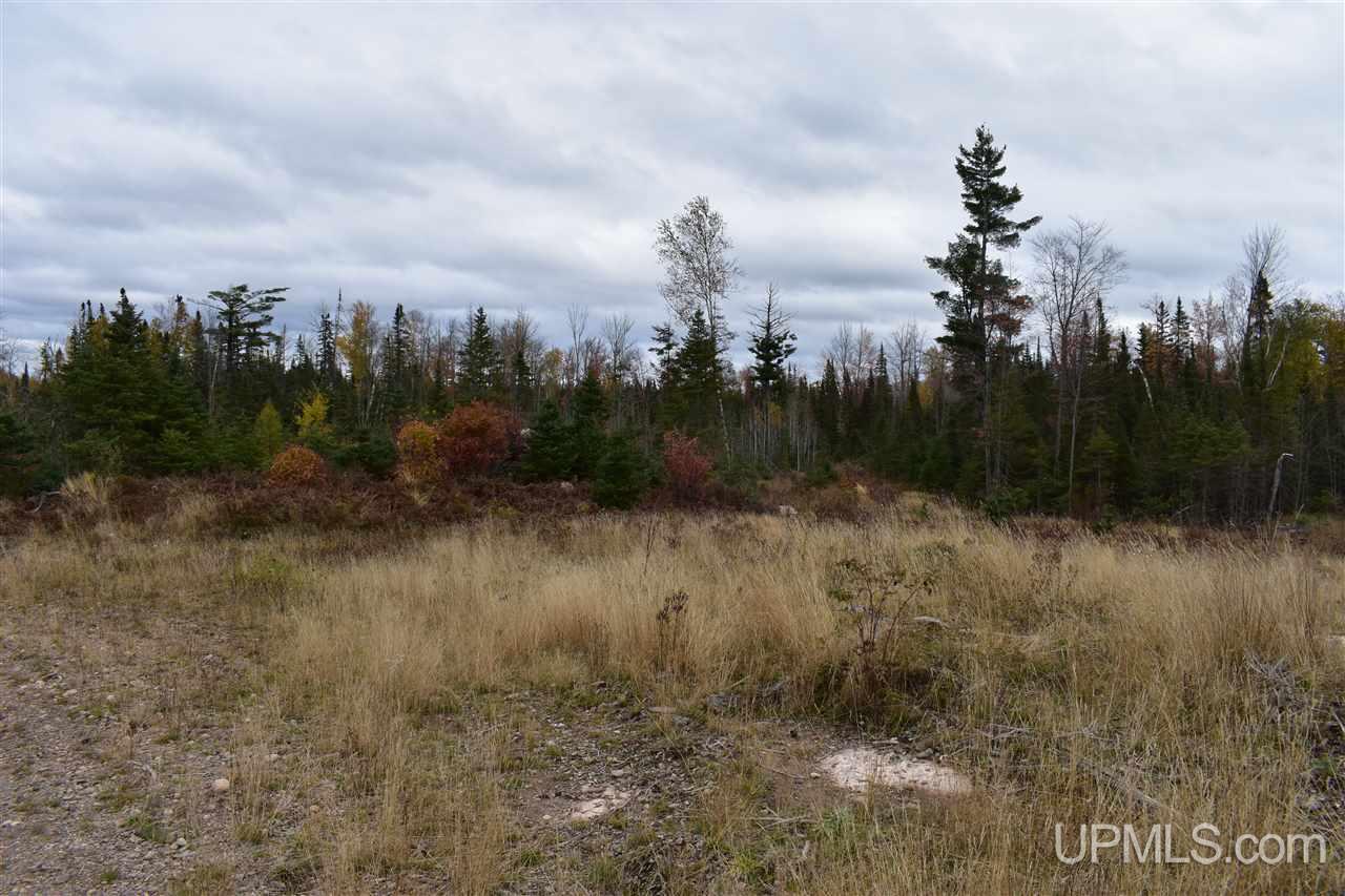 40-acres 40-acres Off Co Road Gwinn, MI 49841 - Photo 19 of 22