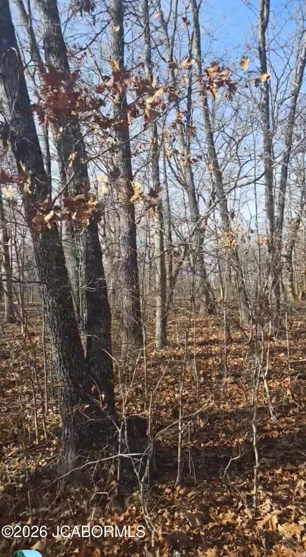 Tbd Possum Trot Road Stover, MO 65078 - Photo 6 of 6
