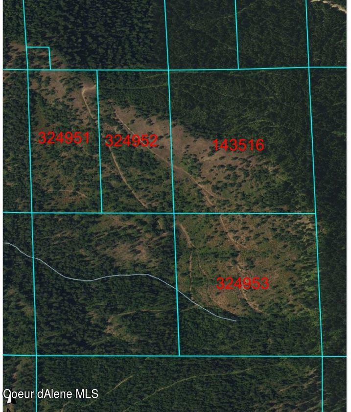 Nna East Alamo Road Harrison, ID 83833 - Photo 43 of 44 Alamo Aerial