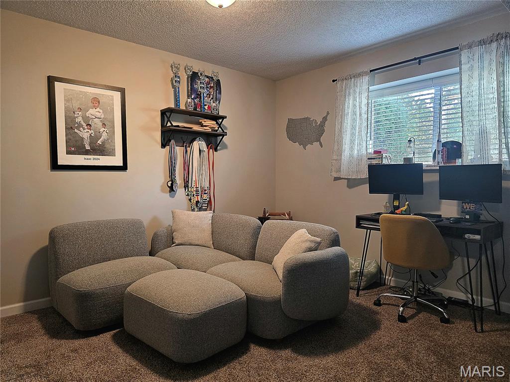 6336 Rainbow Ridge Washington, MO 63090 - Photo 25 of 32 Gallery Image 25