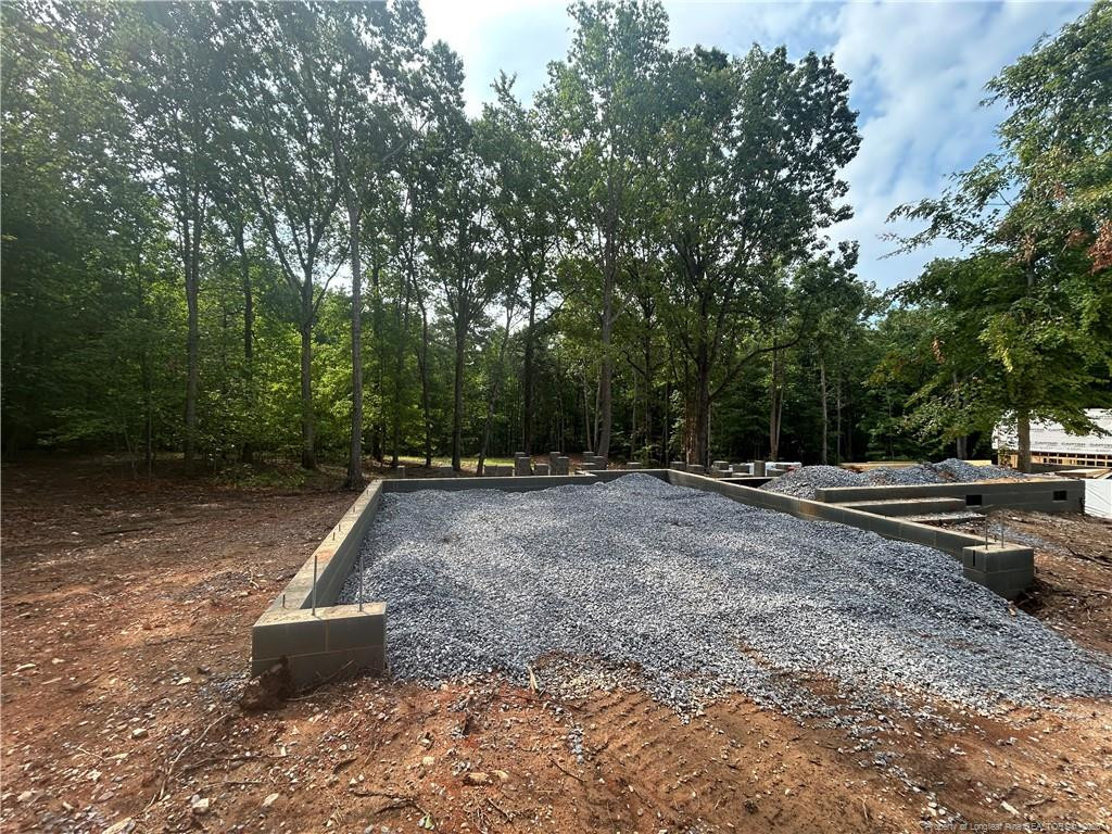 2 Buckhorn Road Moncure, NC 27559 - Photo 3 of 4 Photo 3