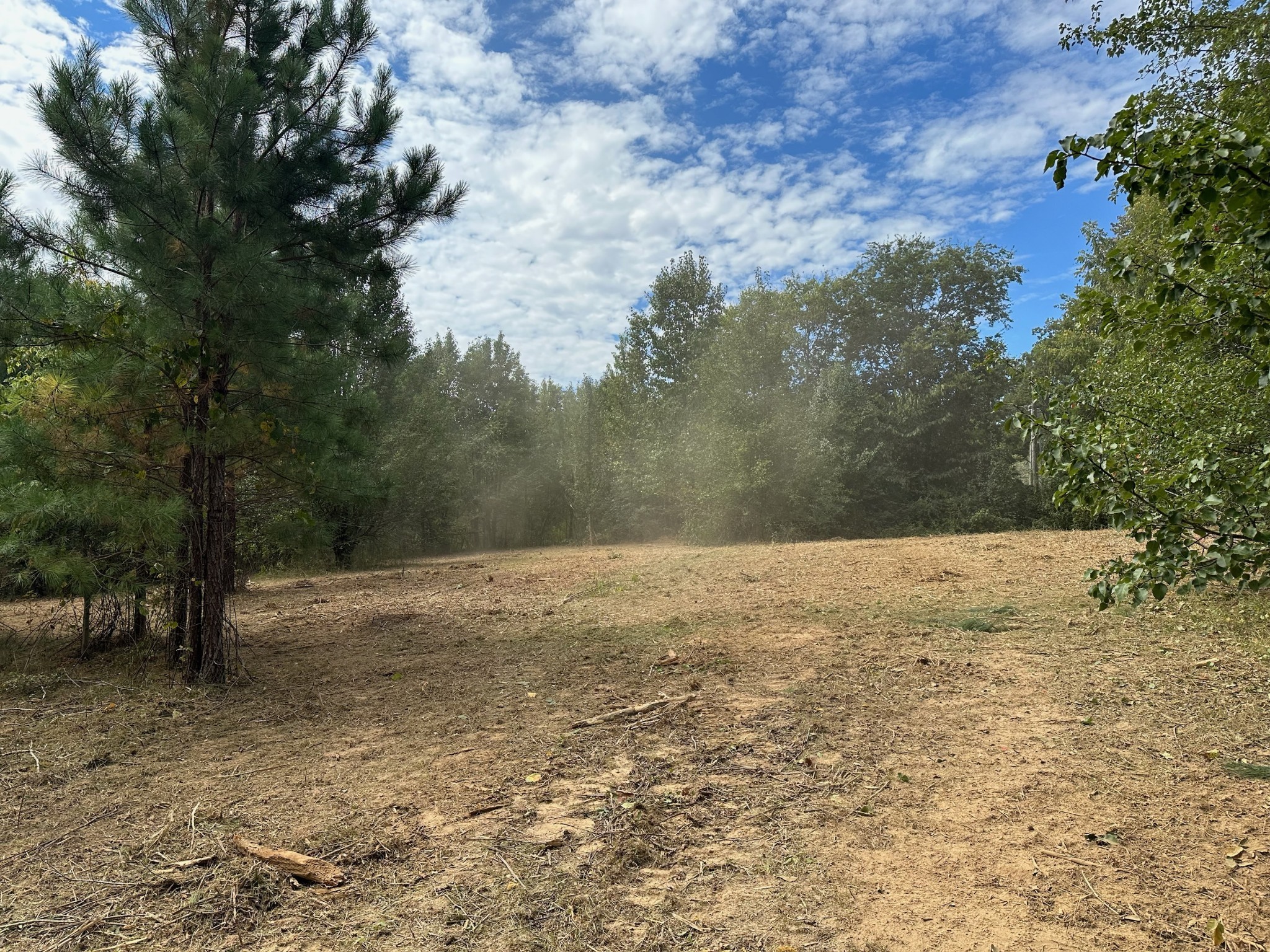 0 Eudailey-Covington Road College Grove, TN 37046 - Photo 5 of 10 a view of big yard with large trees