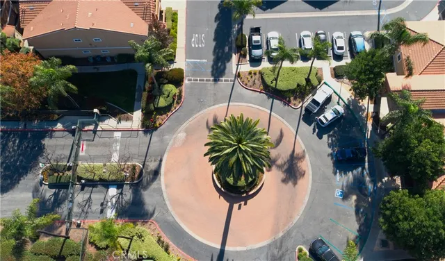 a view of a potted plants in front of building