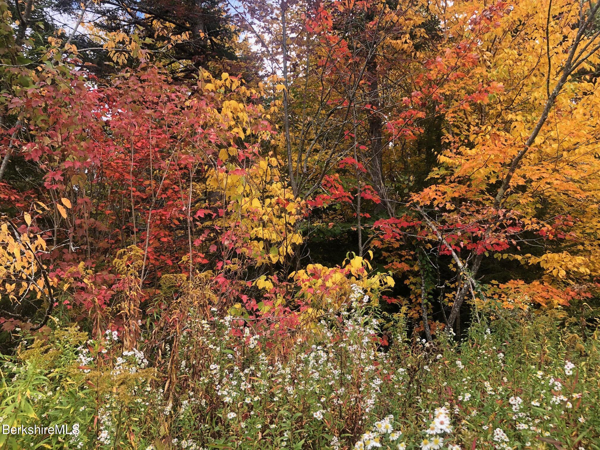 30 Jackson Road Savoy, MA 01256 - Photo 39 of 42 Seasonal Photo